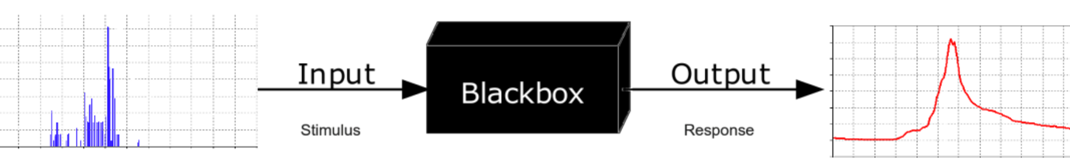 Black Box programming